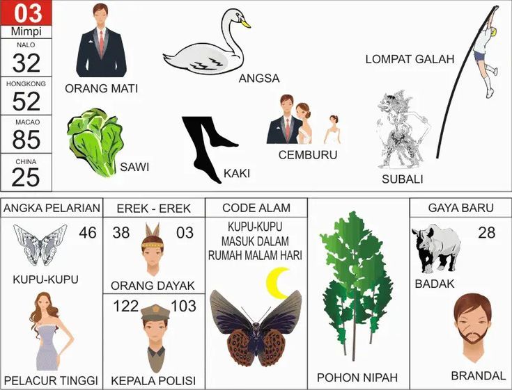 TIP4D Mengulas Erek Erek 03